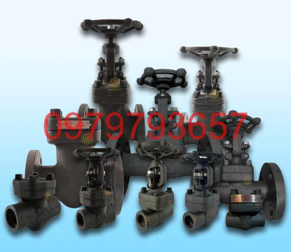 Shoritsu Valve – Cánh Cửa Mở Ra Giải Pháp Lọc Và Điều Khiển Tối Ưu